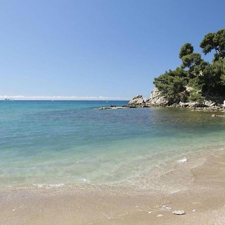 Appartement T2 Rez De Villa Proche Bord De Mer ル・プラデ エクステリア 写真